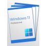 Windows 11 Professional (3 keys)
